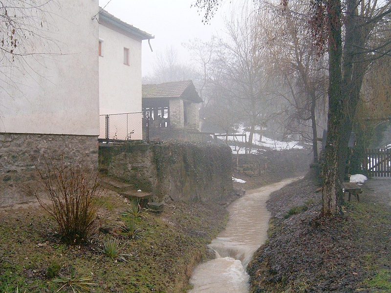 20100220 005.jpg
